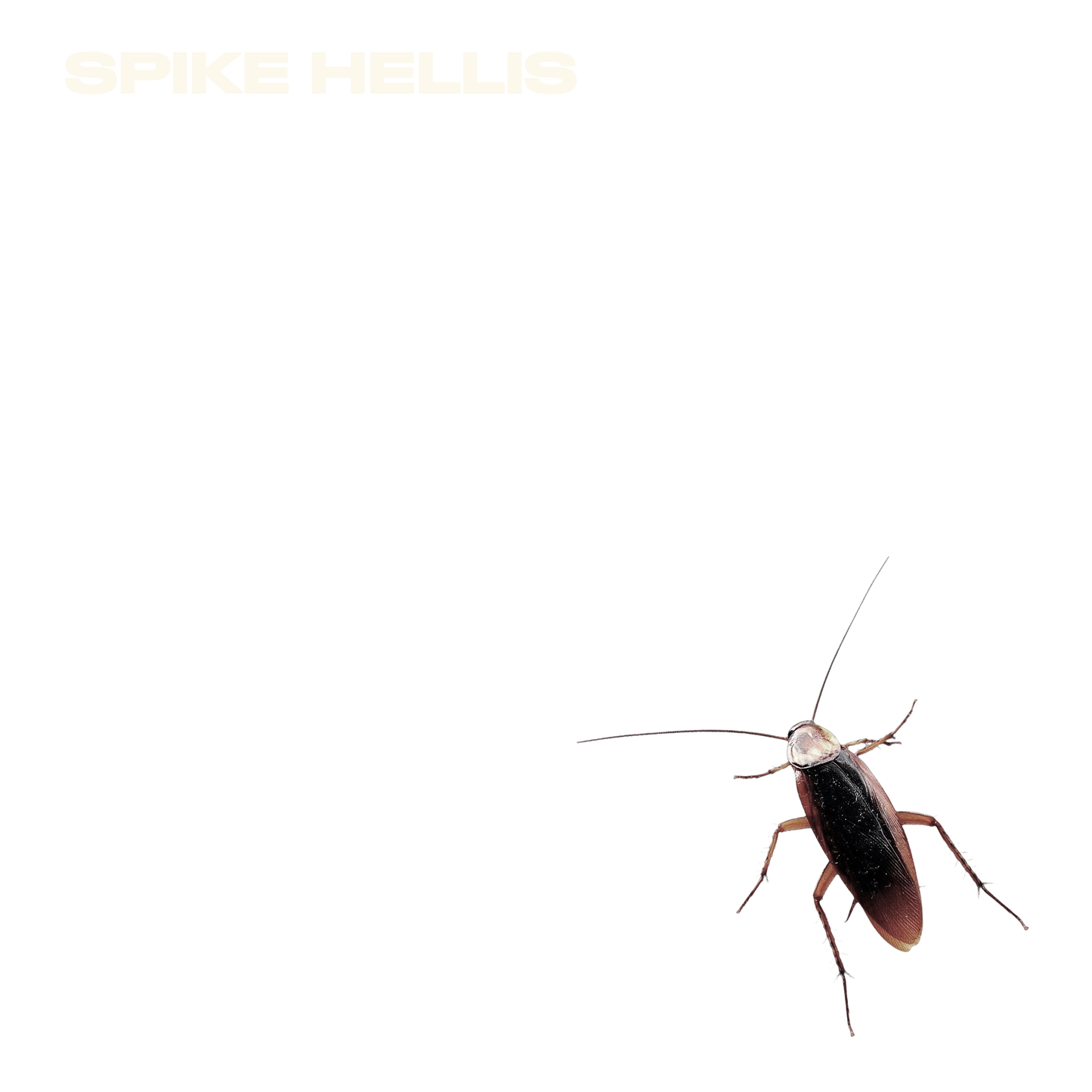 PREORDER: SUCCESSOR LP - 1ST PRESSING